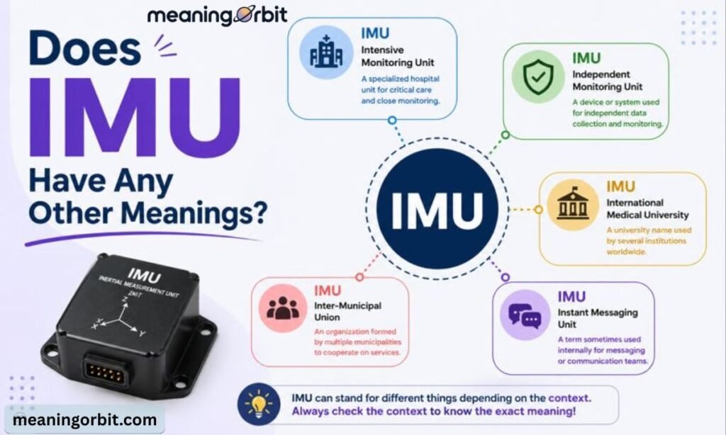 Does IMU Have Any Other Meanings?