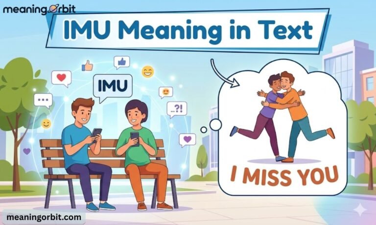 IMU Meaning in Text