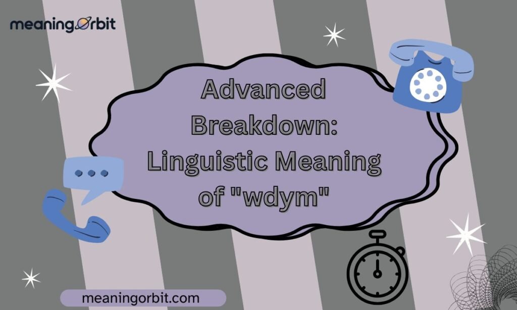 Advanced Breakdown: Linguistic Meaning of "wdym"