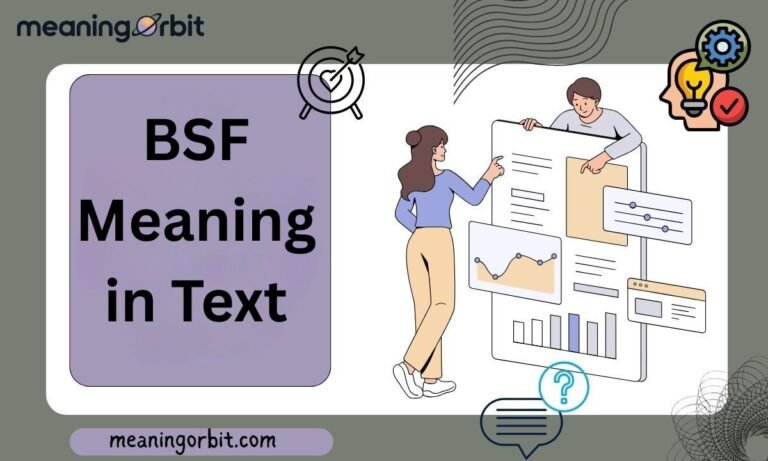 BSF Meaning in Text