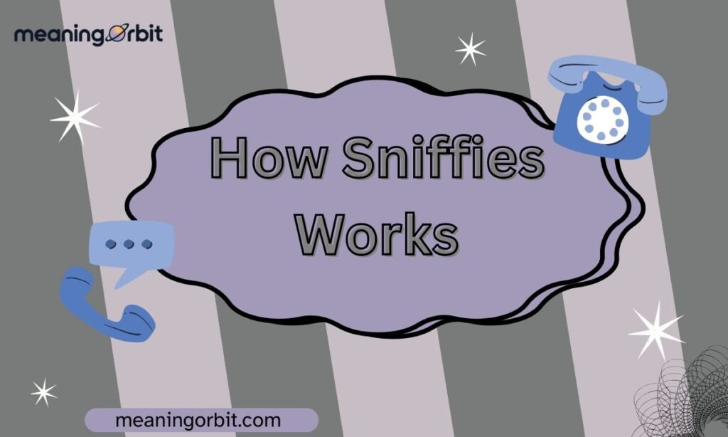 How Sniffies Works