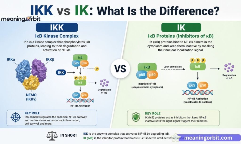 IKK vs IK What Is the Difference