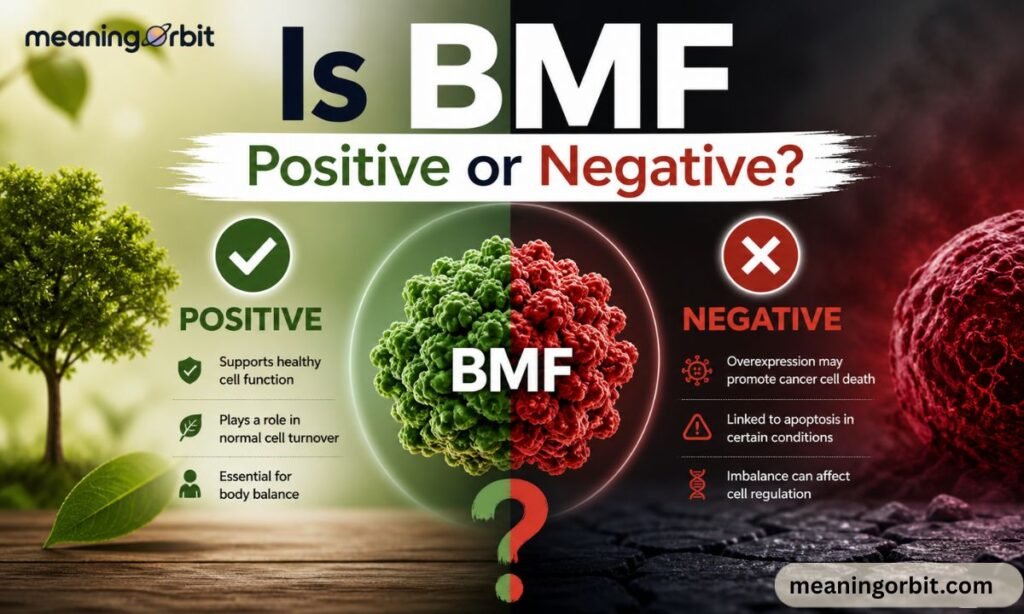 Is BMF Positive or Negative?