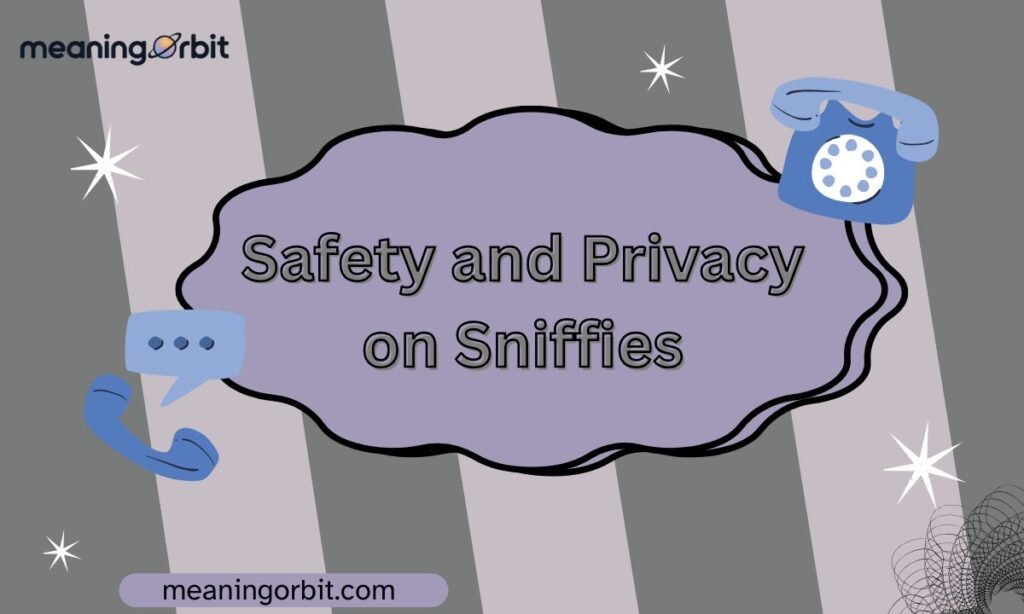 Safety and Privacy on Sniffies