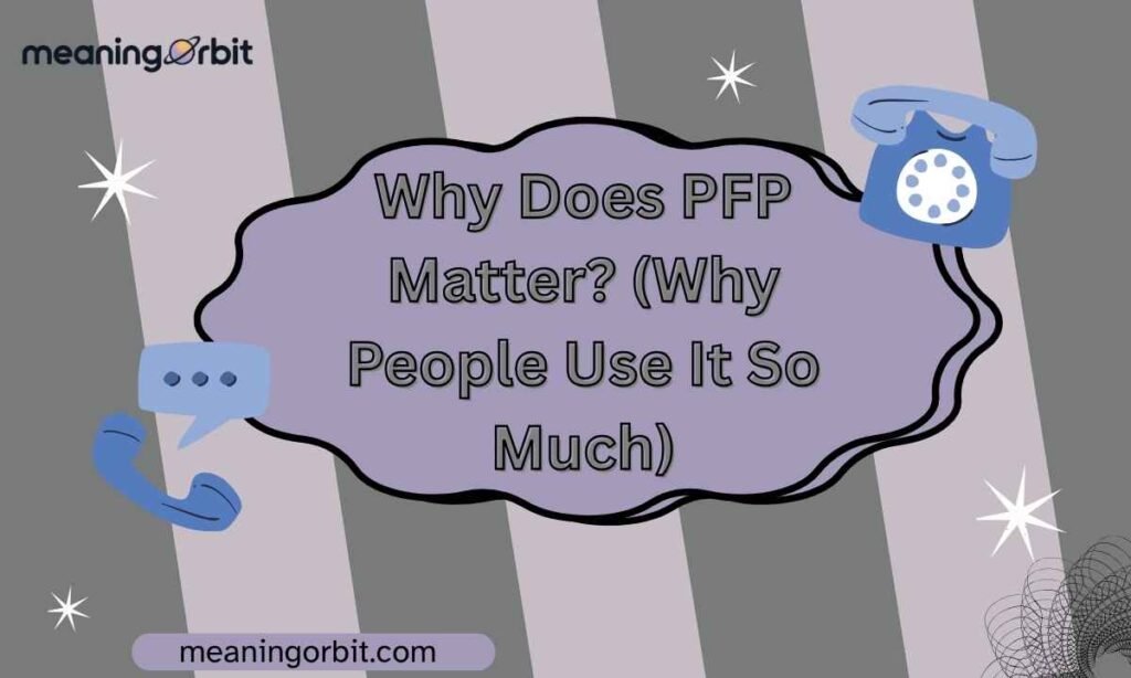 Why Does PFP Matter? (Why People Use It So Much)