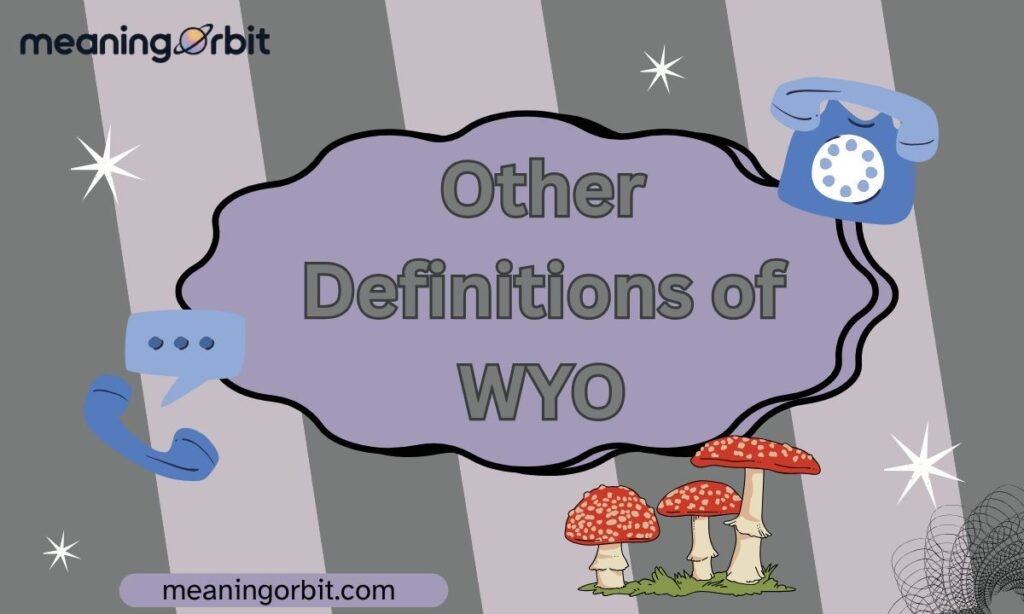 Other Definitions of WYO