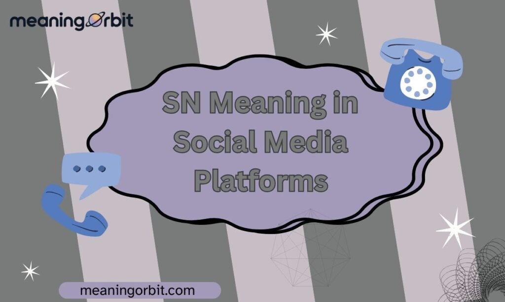 SN Meaning in Social Media Platforms